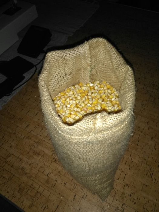 Saquinhos de serapilheira