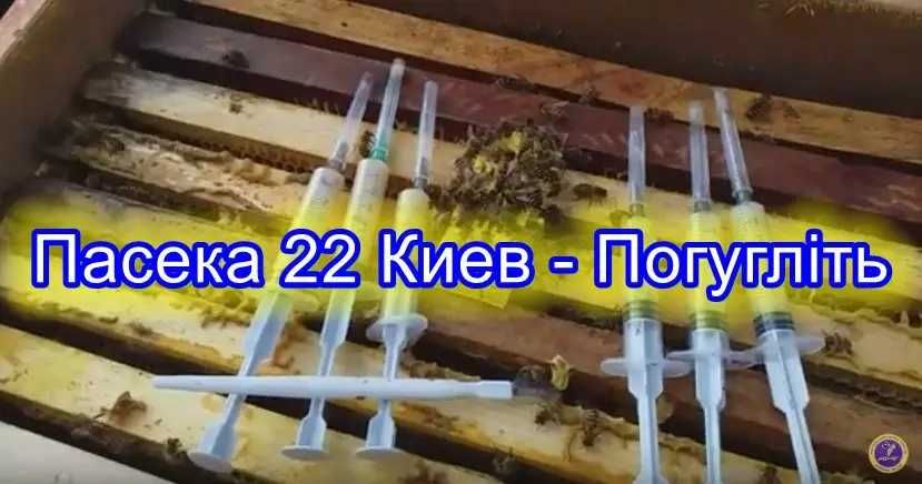 Молочко Маточне з пасіки 5 мілілітрів Бджолине нативне