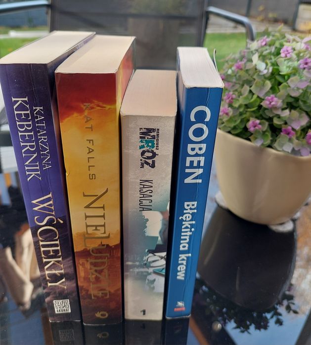 Książki, książka Harlan Coben, Mróz i inni