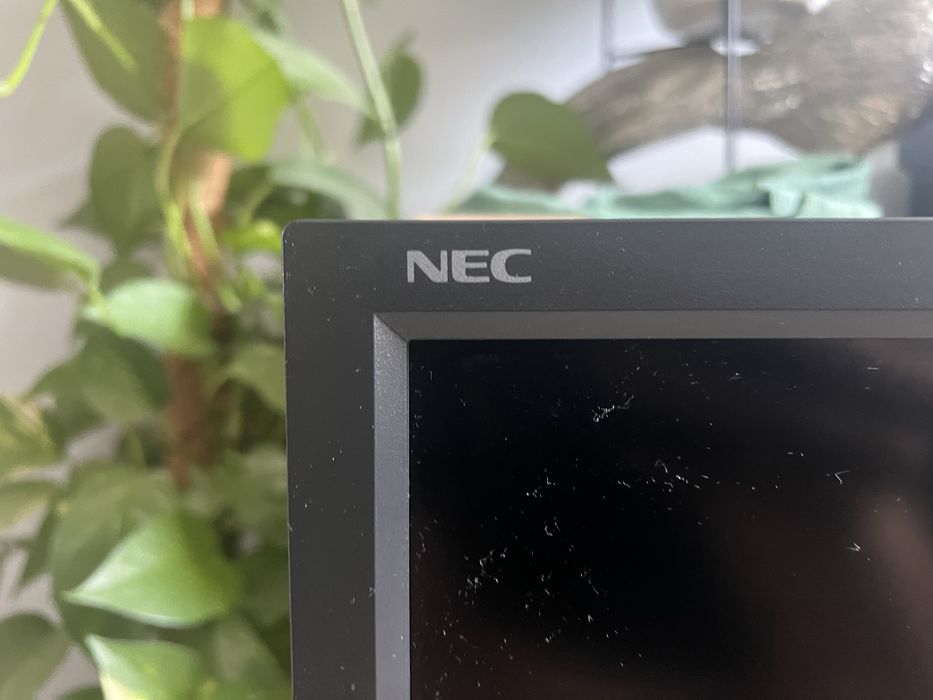 Monitor nec multisync