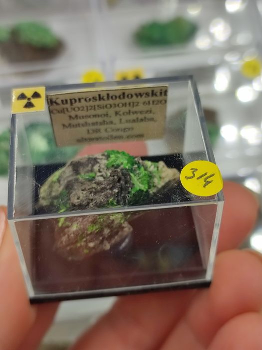 minerał uranowy do kolekcji kuproskłodowskit Kongo