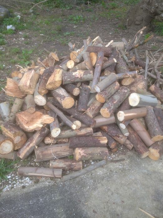 Lenha 50€ metro cúbico