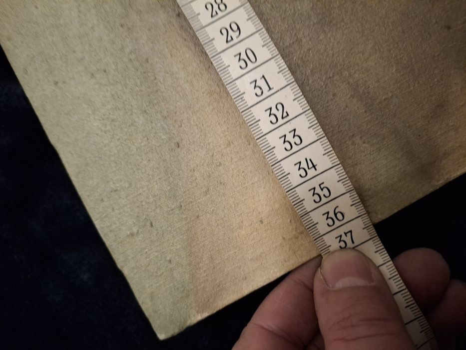 João Quelha ovelha orelha pintura a óleo sobre tela