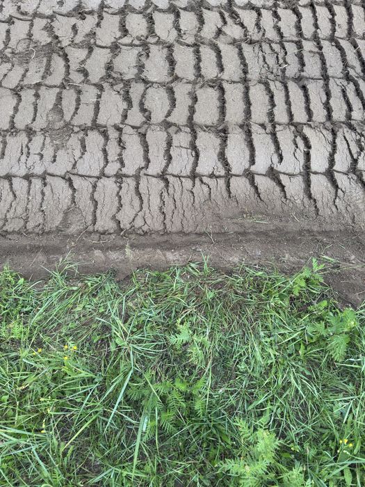 Mluczowanie//Karczowanie//Koszenie