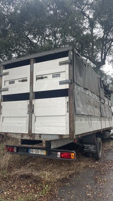 Carroçaria transporte de animais vivos