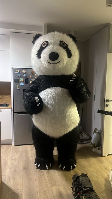 2,6 metrowy mis panda + 2 akumulatory