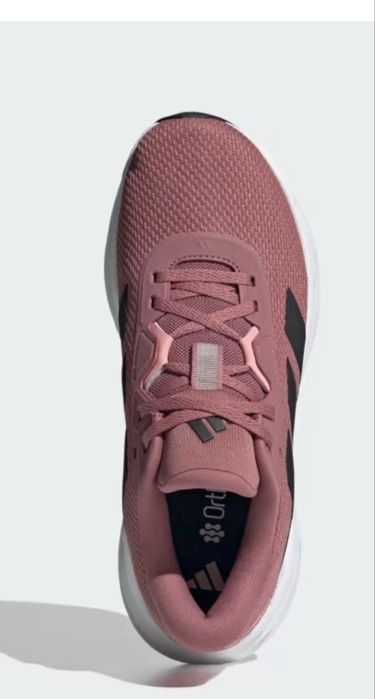 Кросівки Adidas жіночі