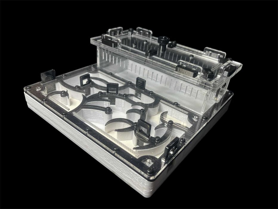 Купити мурашину ферму в Україні — формикарій з екзотичними мурахами