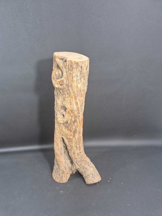 Madonnę z Dzieciątkiem