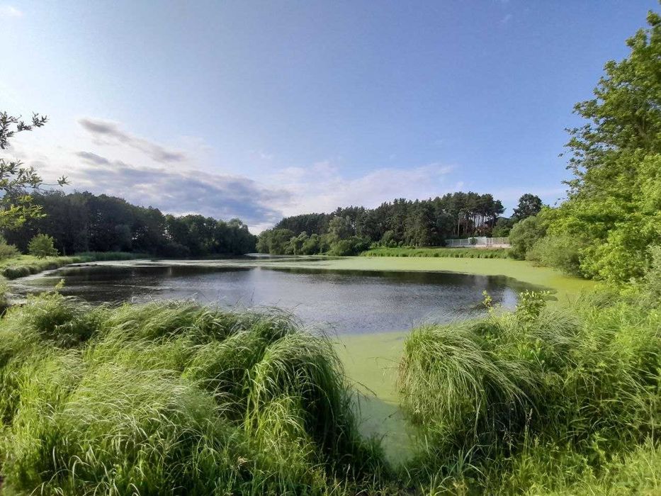 Гостомель 9 сот. Для вашого будинку  Озера та Лісовий масив Електрика