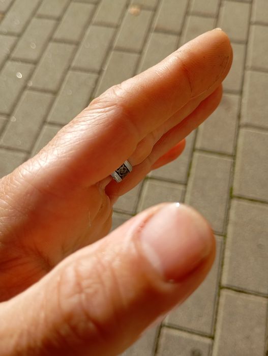 magnífico anel inoxidável