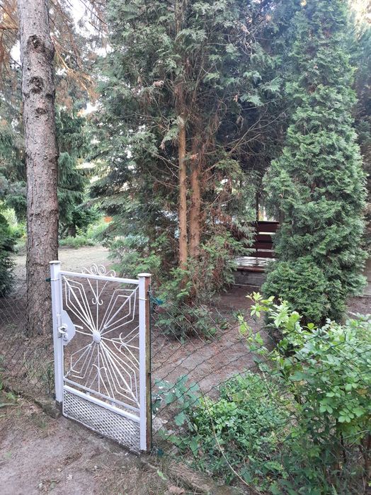 Sprzedam działkę ROD Białołęka