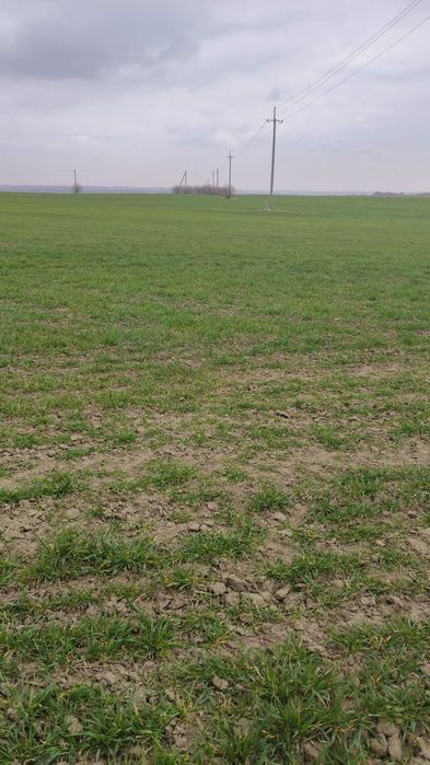 ПРОДАЖ земельної ділянки 2,5 ГА ПІД ВИРОБНИЦТВО