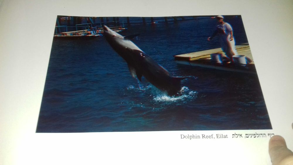 Фотоальбом пейзажей Израиля в трех измерениях 3D