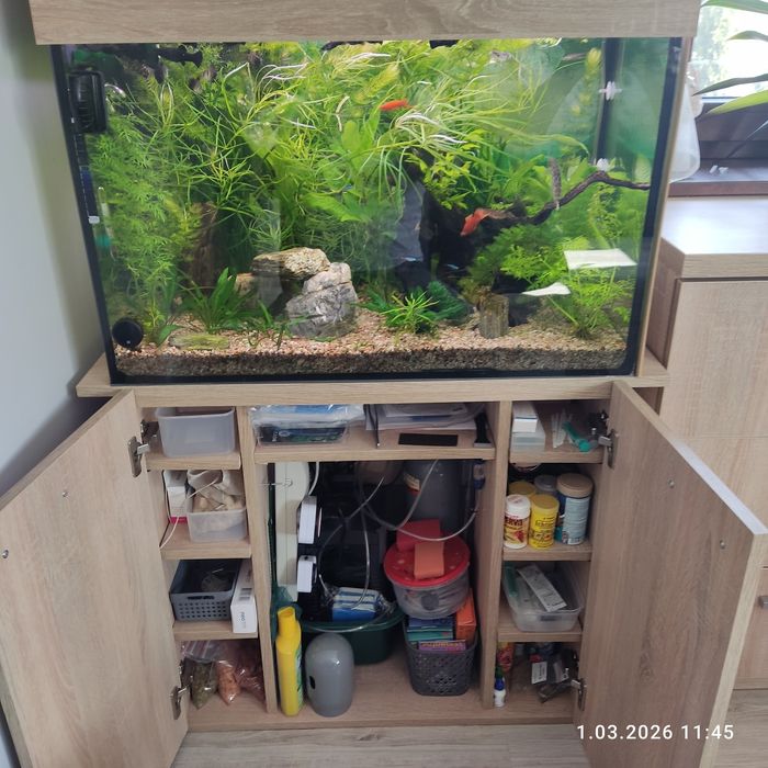 Akwarium 150 l cały zestaw z rybami