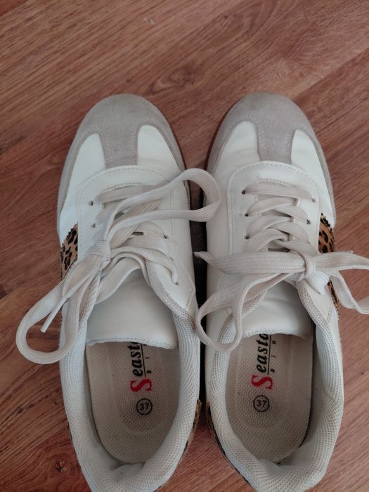Buty trampki 37 pantera
