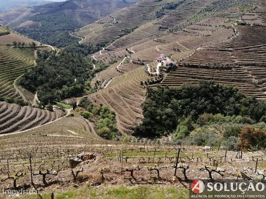 Quinta em Vila Real