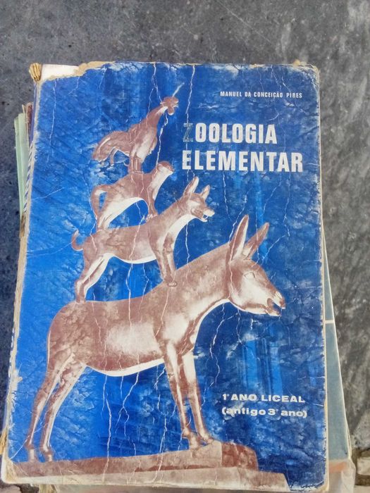 livros escolares de historia e outros