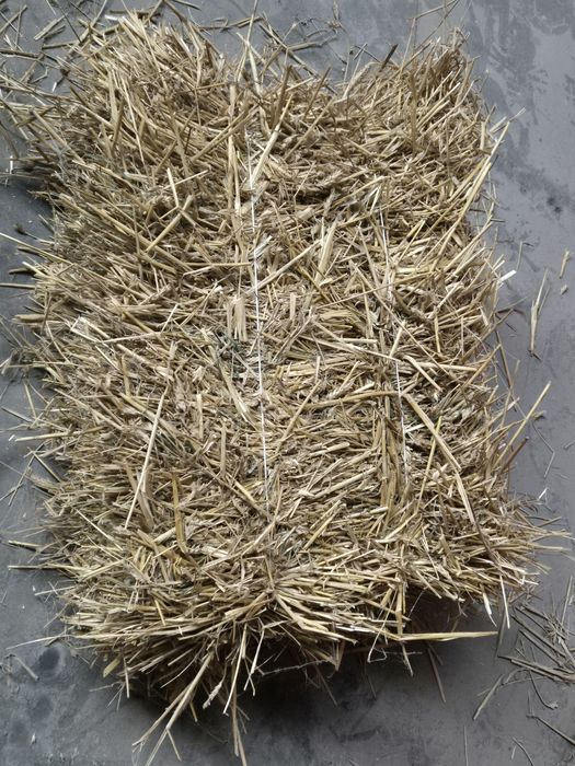 Słoma w kostkach pszenżytnia