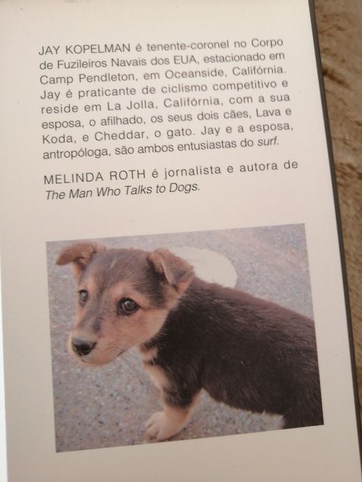 De Bagdade, com amor...64738398984449123