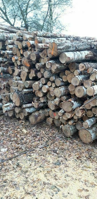 drewno kominkowe Tychy