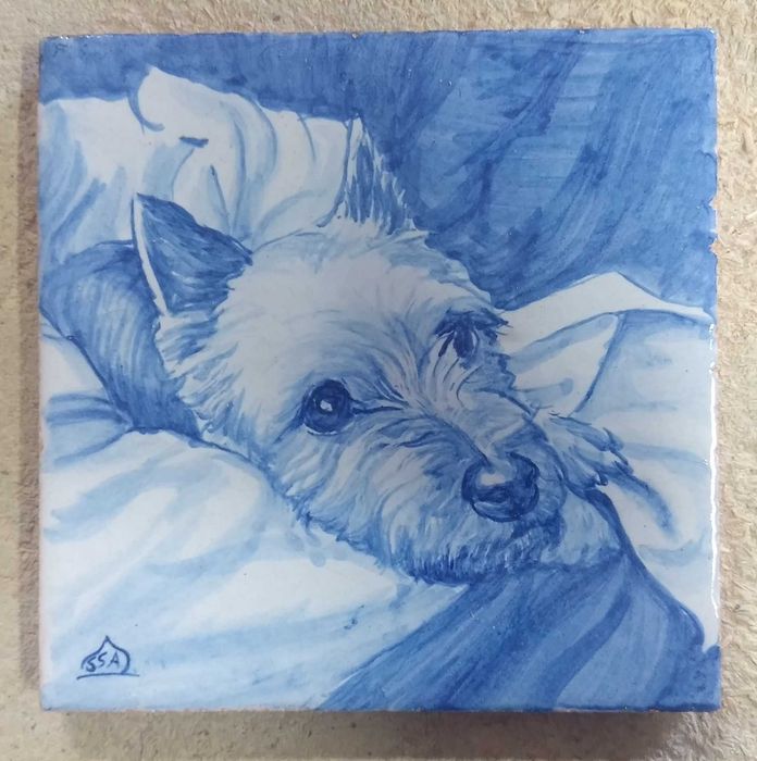 Azulejos pintados a mão. Retratos sobre cerâmica. Desenhos de animais.