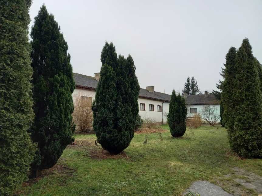 Działki zabudowane inwestycyjne w Rusinowie - gm. Postomino, blisko morza