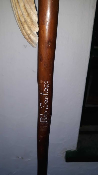 Paú de Caminhante de Colecção Privada #3
