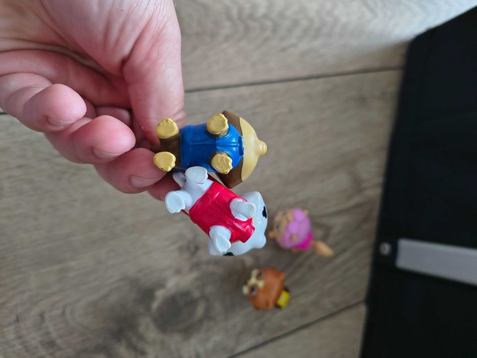 Koty kotki Hunfingera psi patrol paw patrol