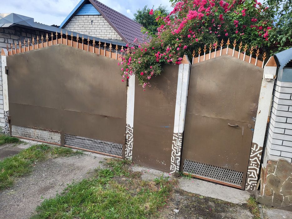 Ворота з хвірткою, 280+100см