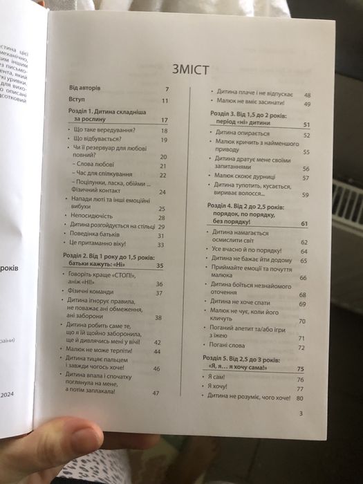 Книга Я спробувала все