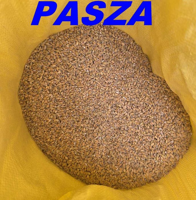 Pasza dla gęsi, kaczek, kur - zbiór 2026