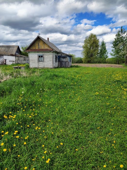 Дача, літній будинок, земельна ділянка