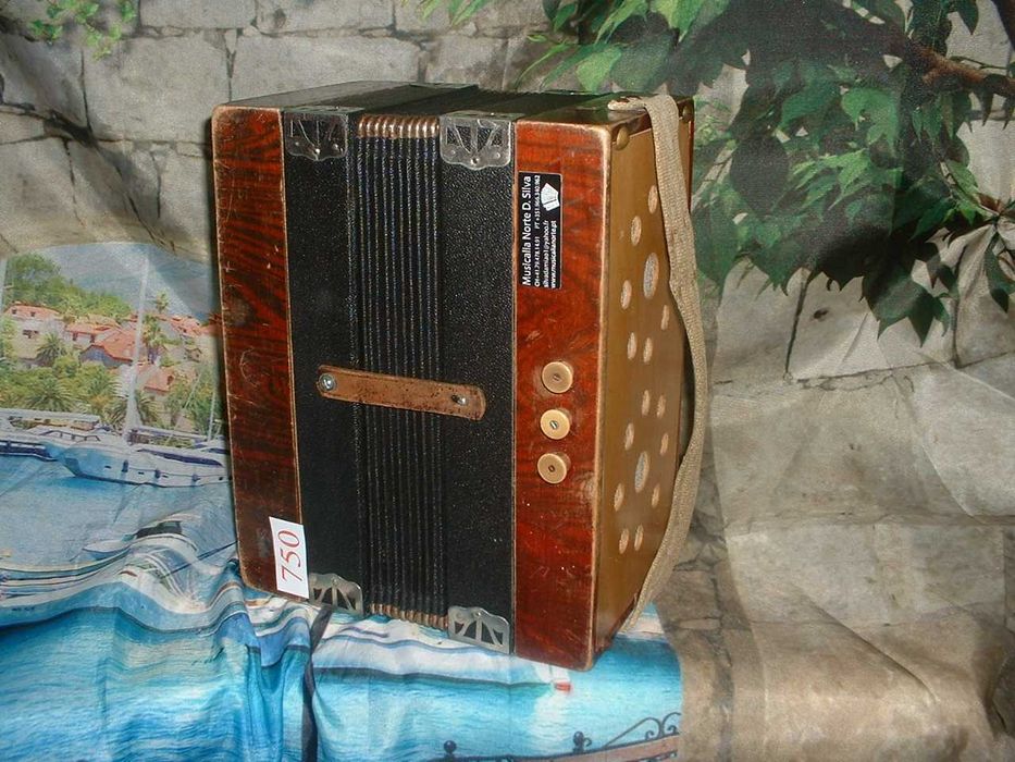 Concertina para venda N, 750 Penedono • OLX Portugal