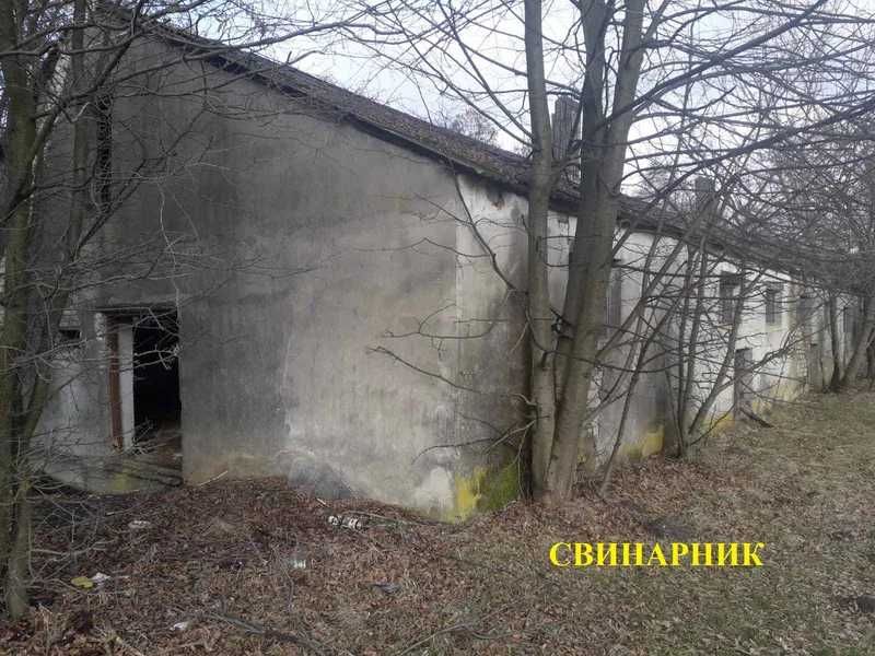 ПРОДАЖ - Свинарник, загальною площею 557,6 кв. м. с-ще. Маневичі
