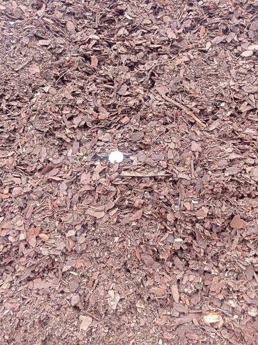 Kora sosnowa DROBNA. Frakcja 0 - 14 mm