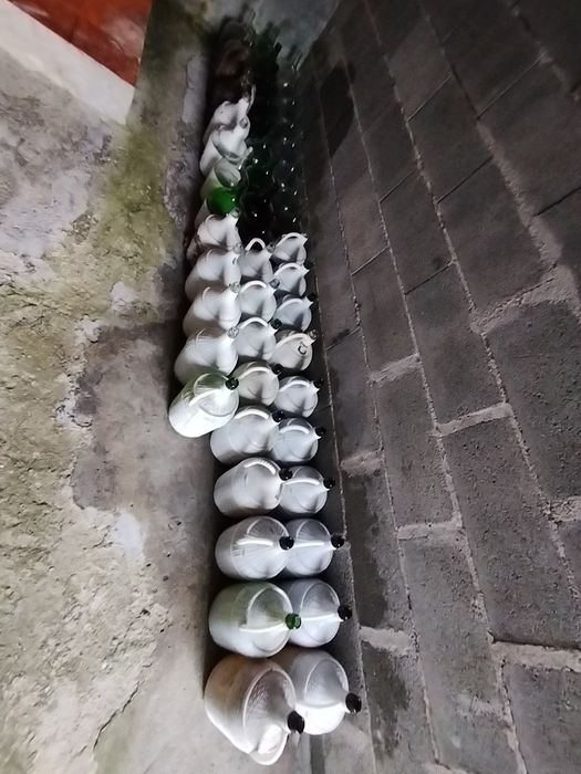Vendo 49 garrafões de 5l
