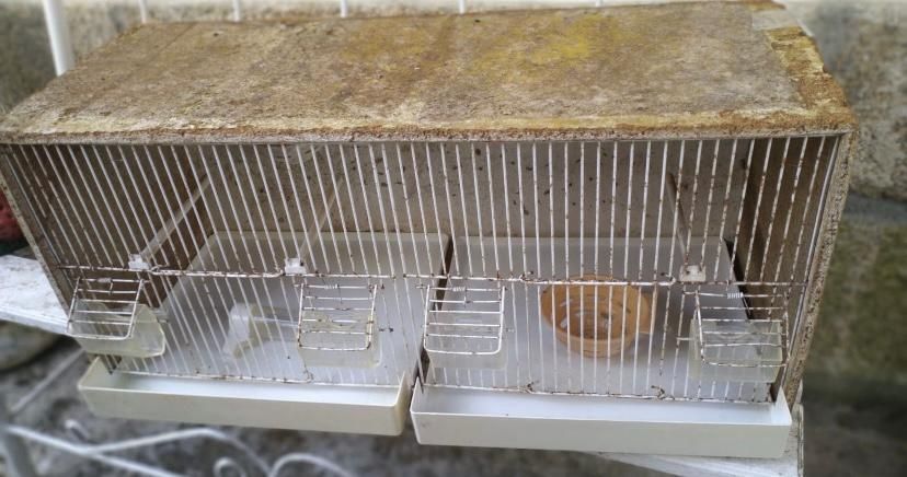 Gaiola para pássaro