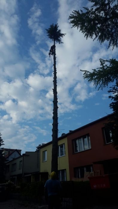 Usuwanie, wycinka drzew, Alpinistycznie, linowo, rębak, Super ceny