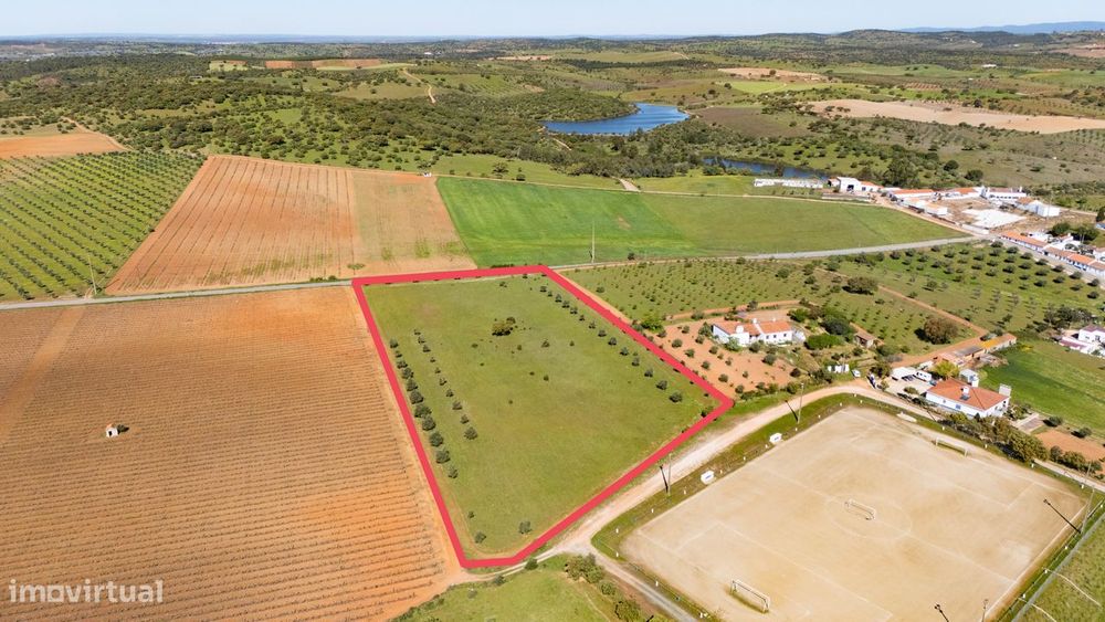 Terreno no concelho de Reguengos de Monsaraz com Projeto de arquitetur