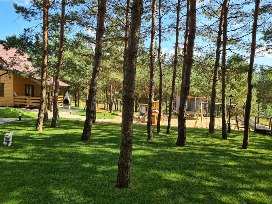 Sosnowe Wzgórze Domki Letniskowe Mazury, nad jeziorem, basen, pomost