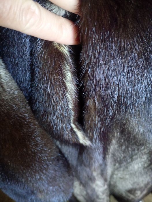 Saga mink. Дл 120см. Норковая шуба с соболем. Натуральная шуба