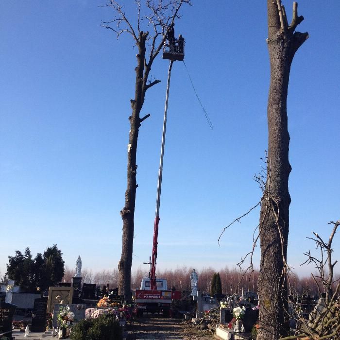 koszenie trawników,nieużytków , wycinka drzew, karczowanie,pielęgnacja