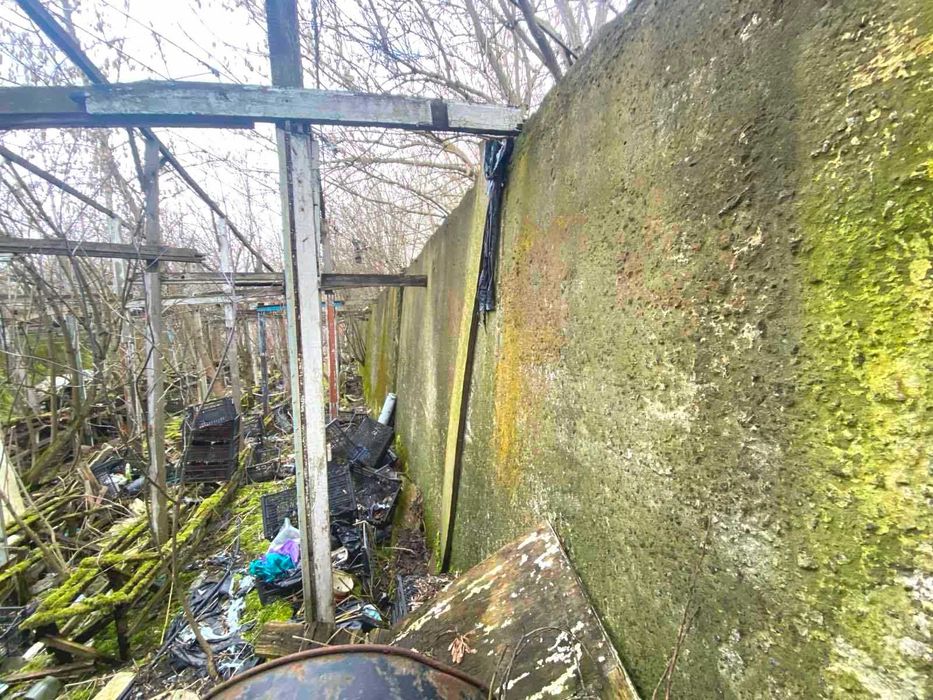 ділянка з приміщенням теплиці та правом власності у Плотичі