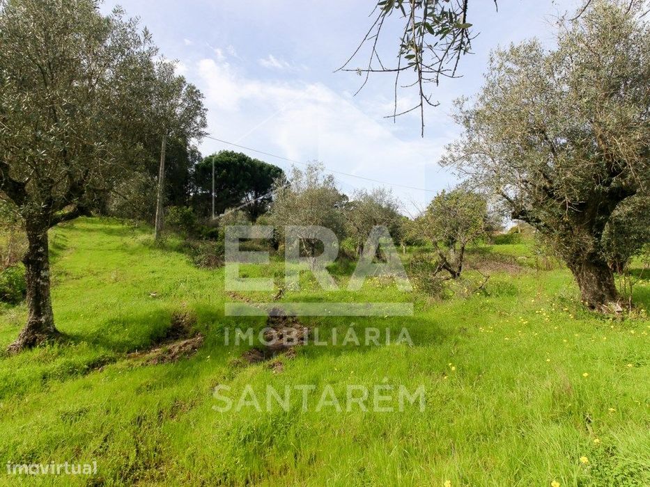 Terreno com cerca de 1 Hectare
