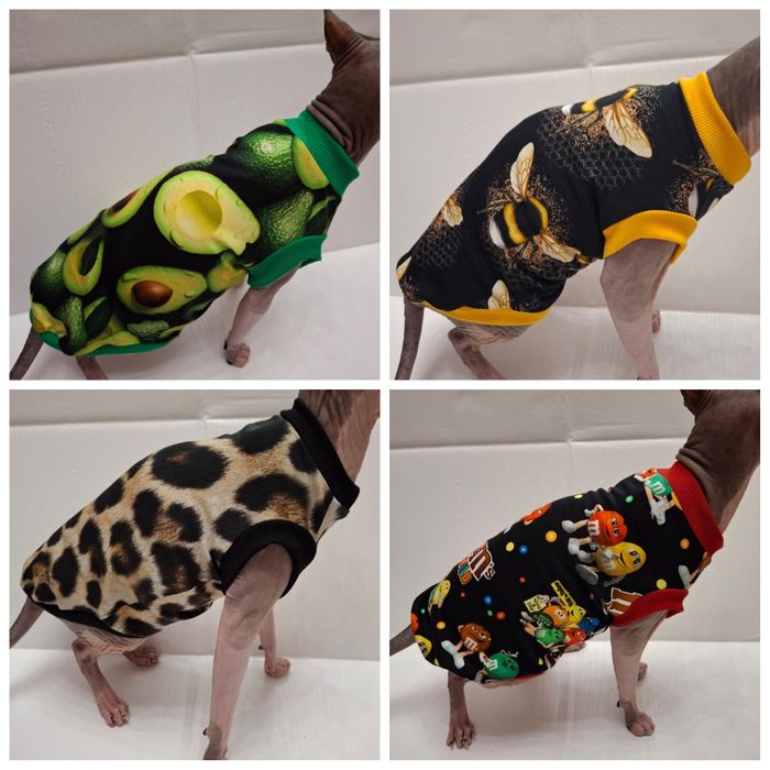 Одяг для сфінкса