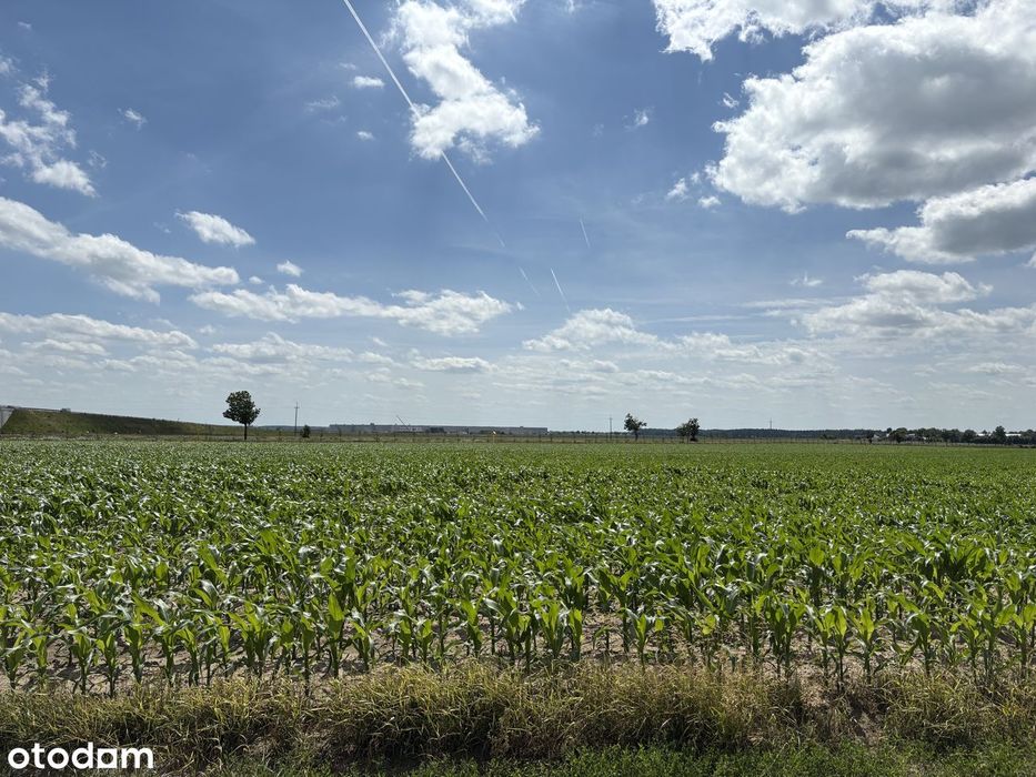 PRZETARG | Działka 1,22 ha | Strykowo | Teren produkcyjno-usługowy - Widok 4