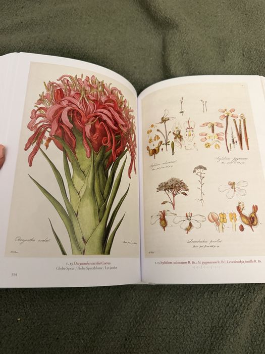 A Garden Eden. Masterpieces of Botanical Illustration ботаніка