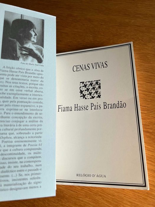 CENAS VIVAS    Fiama Hasse Pais Brandão