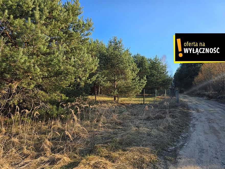 Działka rekreacyjna pod zabudowę w Życinach przy jeziorze - Widok 4